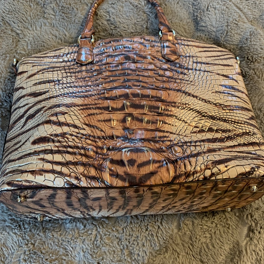 Beautiful Melbourne Duxburu Brahmin